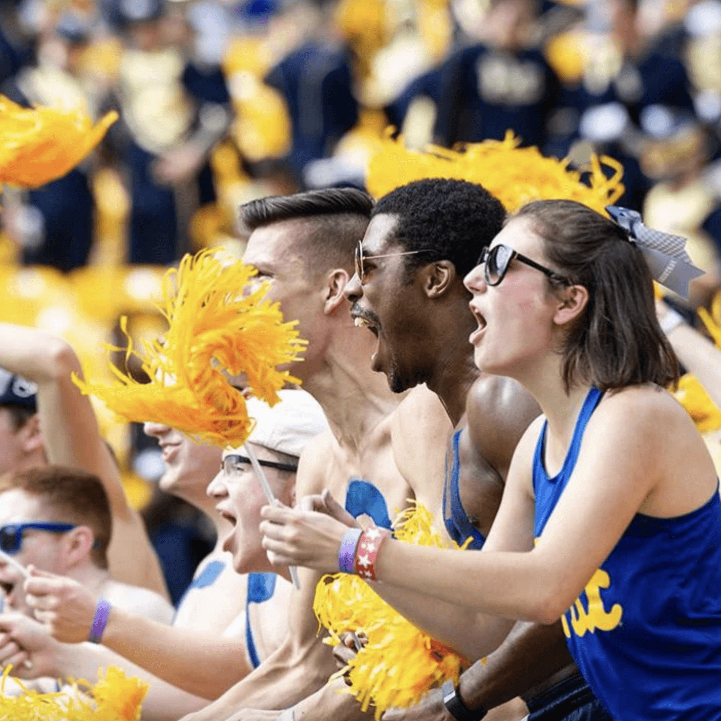 a photo of upitt celebrating at a college game